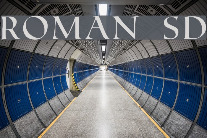 Roman SD Font examples