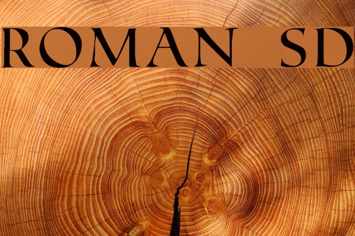 Roman SD Font examples