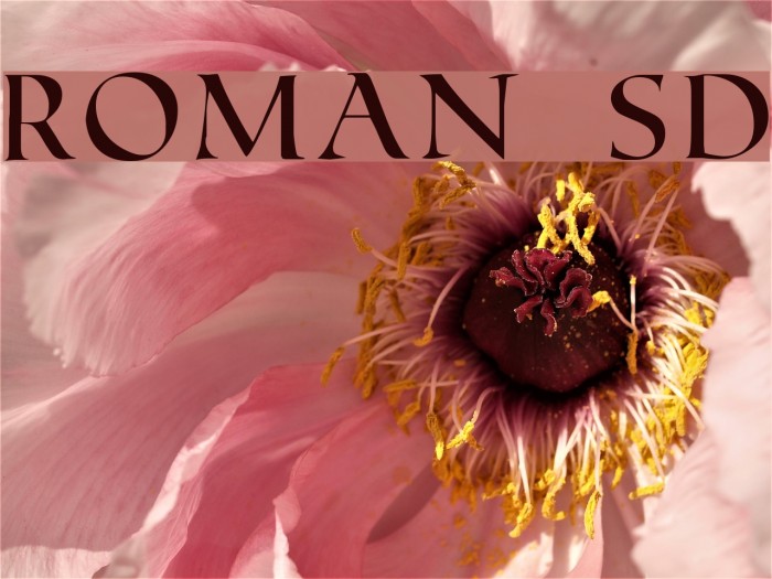 Roman SD Font examples