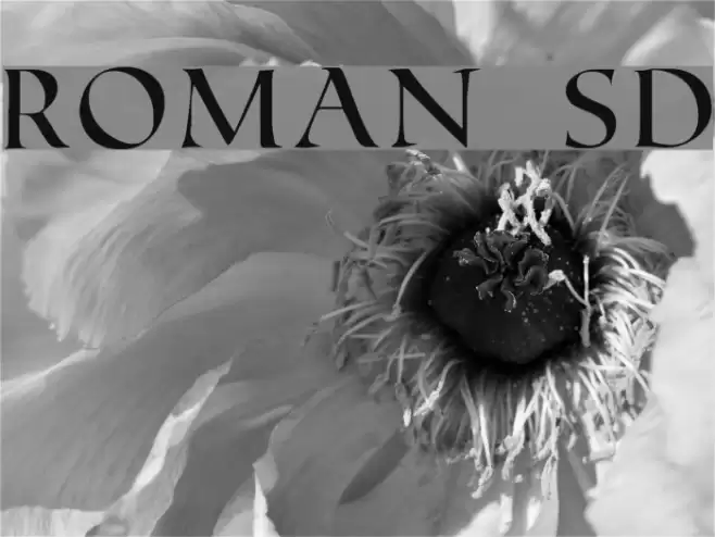Roman SD Fonte examples