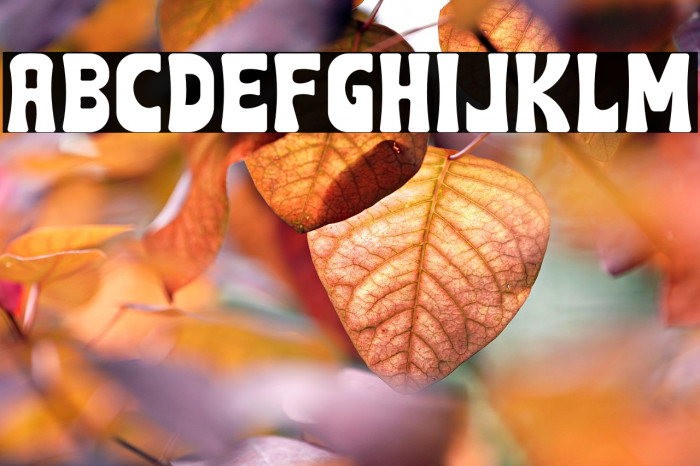 Roman Vibes Example 1