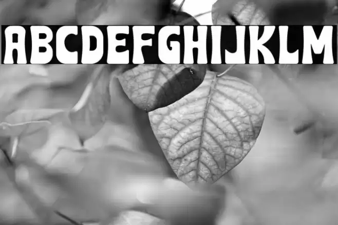 Roman Vibes フォント examples