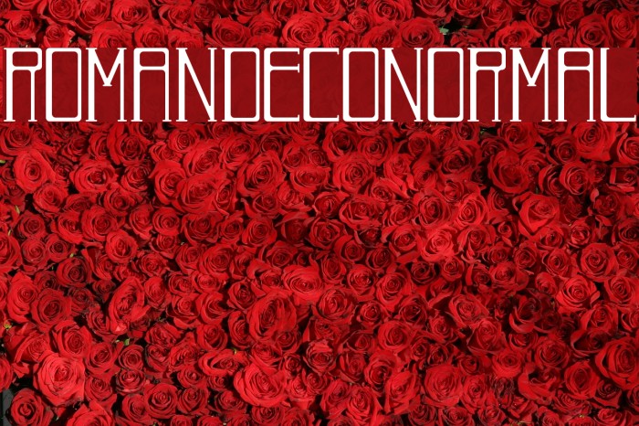 RomanDecoNormal フォント examples