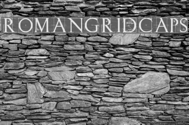 RomanGridCaps Font examples