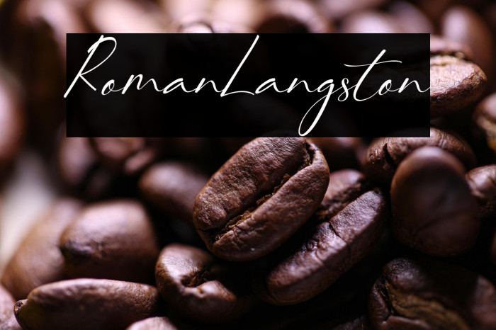 RomanLangston Example 3