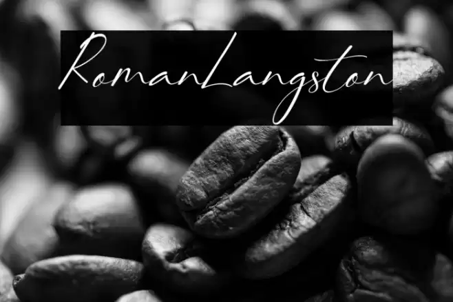 RomanLangston Font examples