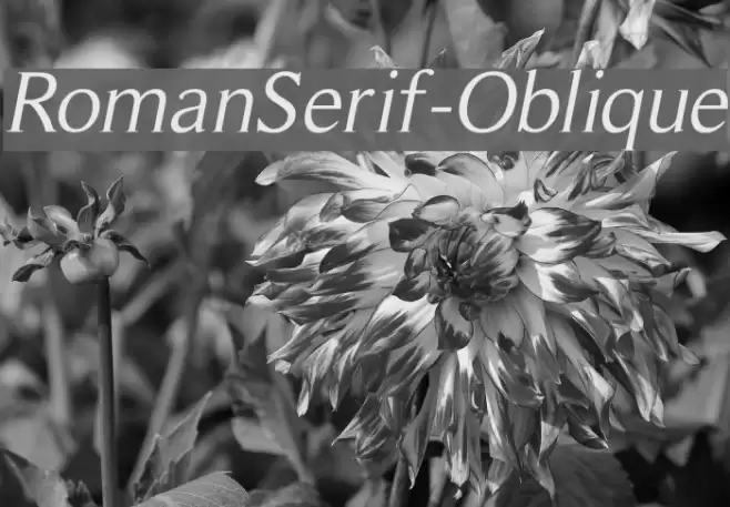 RomanSerif-Oblique Font examples
