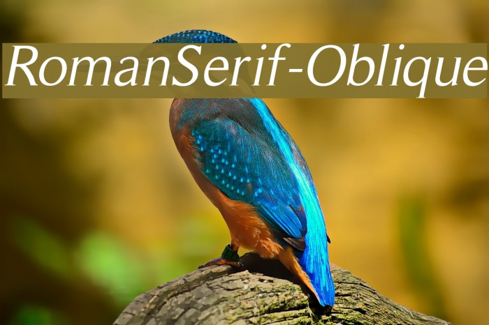 RomanSerif-Oblique Font examples
