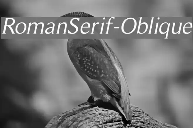 RomanSerif-Oblique Font examples