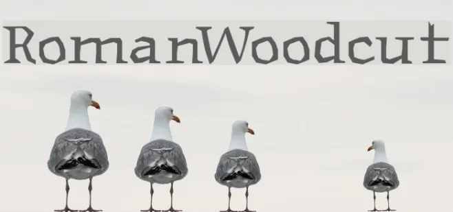 RomanWoodcut Example 2