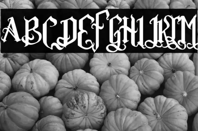 Romance Fatal Goth Premium Font examples