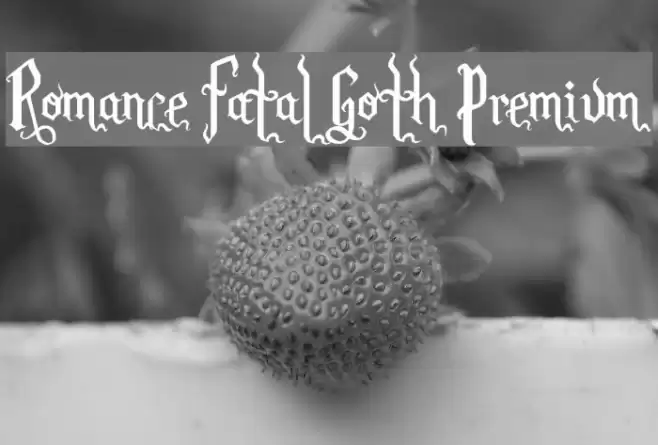 Romance Fatal Goth Premium Font examples