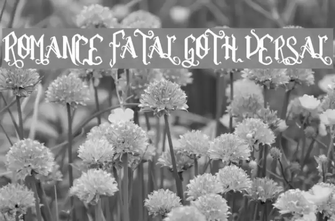 Romance Fatal Goth Versal Font examples
