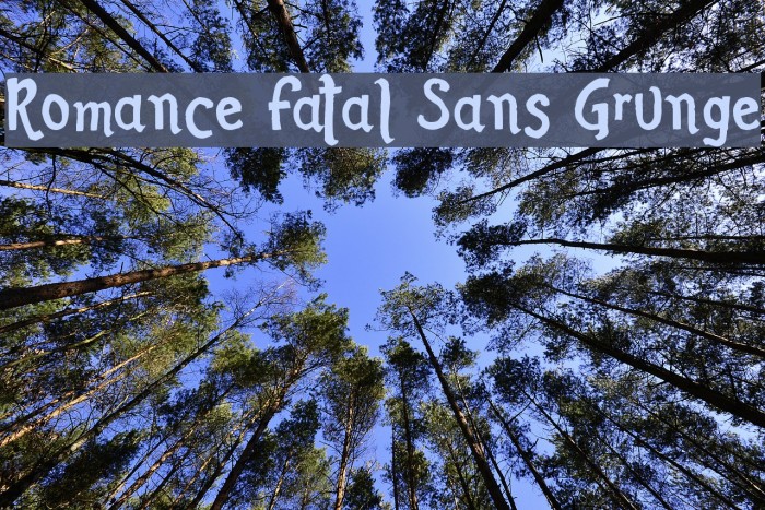 Romance Fatal Sans Grunge Example 1