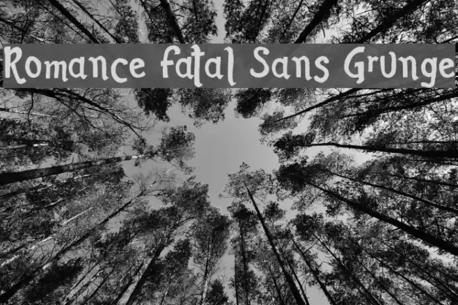 Romance Fatal Sans Grunge Font examples