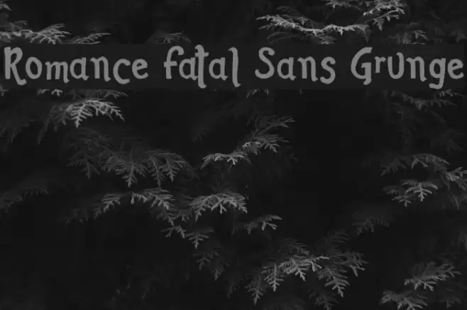 Romance Fatal Sans Grunge Font examples