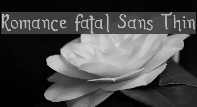 Romance Fatal Sans Thin Font examples