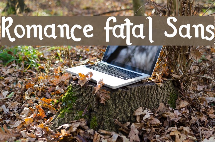 Romance Fatal Sans Font examples