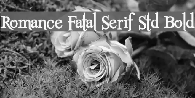 Romance Fatal Serif Std Bold フォント examples