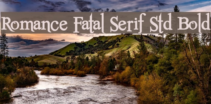 Romance Fatal Serif Std Bold Schriftart examples