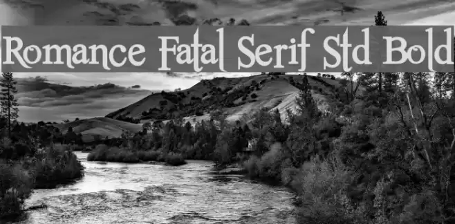 Romance Fatal Serif Std Bold フォント examples
