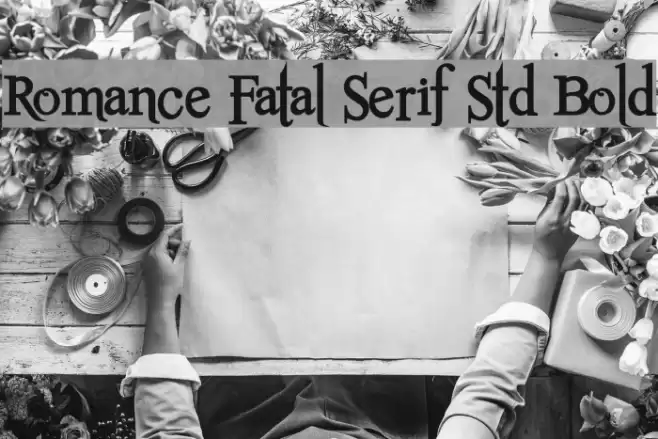 Romance Fatal Serif Std Bold フォント examples