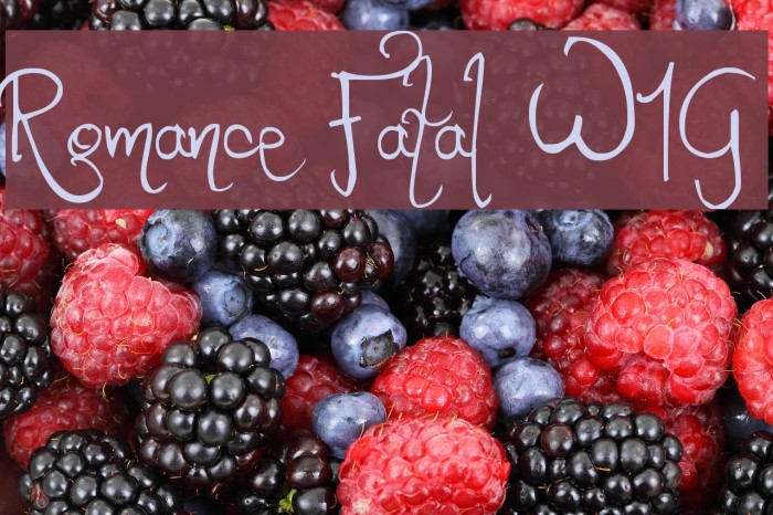 Romance Fatal W1G Font examples