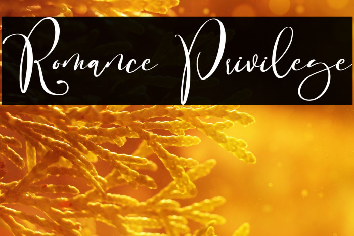Romance Privilege Example 2