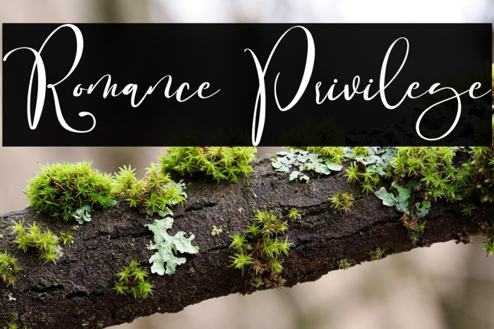 Romance Privilege Example 3