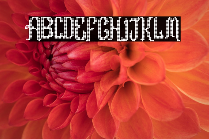 Romance fatal LCD Regular Example 1