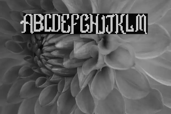 Romance fatal LCD Regular Font examples