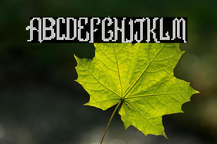 Romance fatal LCD Regular Example 2