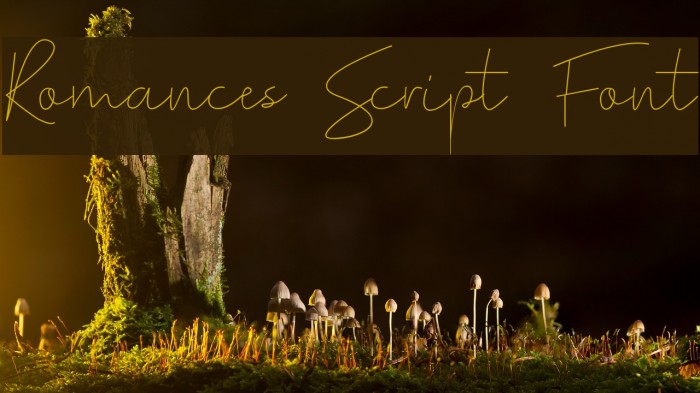 Romances Script Font Font examples