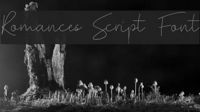 Romances Script Font Font examples
