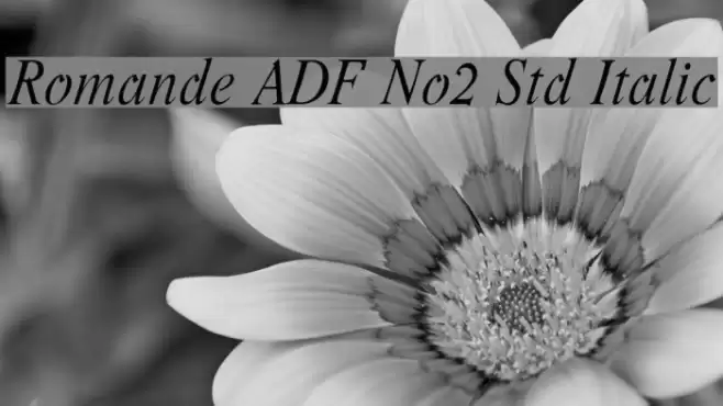 Romande ADF No2 Std Italic Fuentes examples