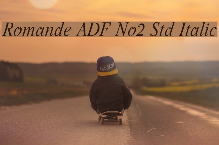 Romande ADF No2 Std Italic Font examples