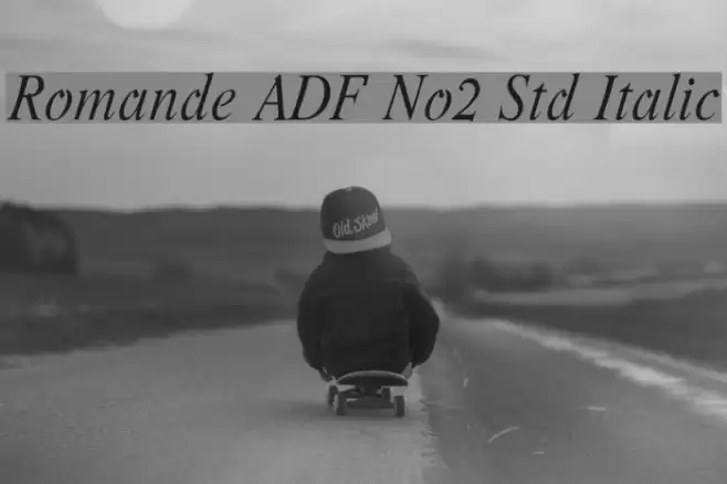 Romande ADF No2 Std Italic Fuentes examples