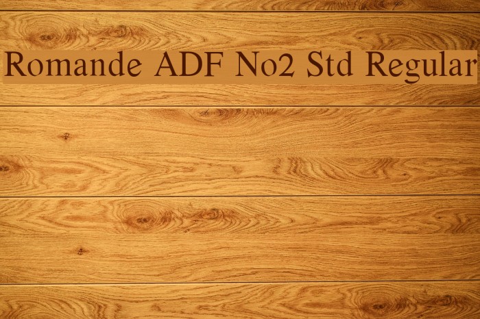 Romande ADF No2 Std Regular Font examples