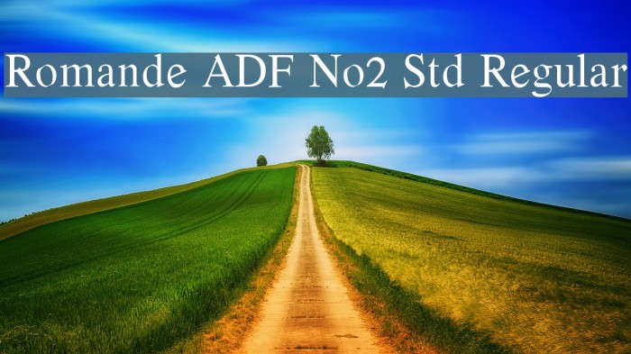 Romande ADF No2 Std Regular Font examples