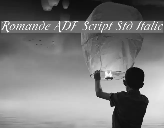 Romande ADF Script Std Italic フォント examples