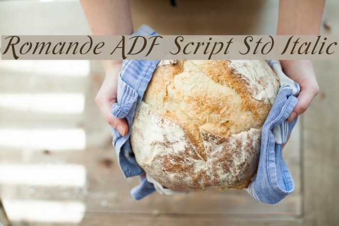 Romande ADF Script Std Italic Font examples