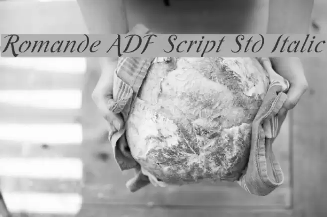 Romande ADF Script Std Italic フォント examples