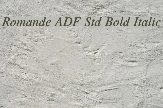 Romande ADF Std Bold Italic Example 2