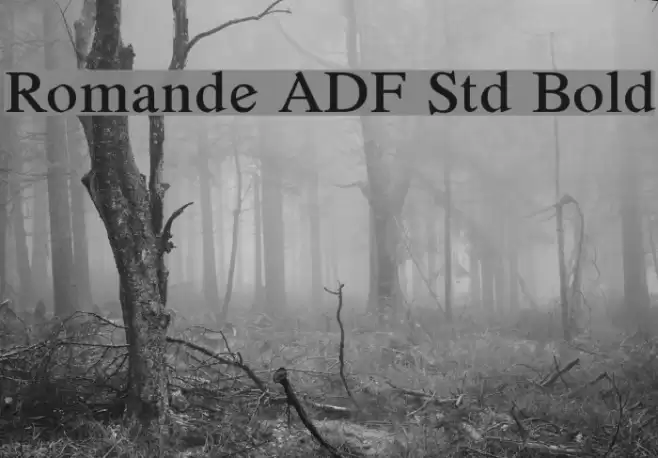Romande ADF Std Bold Polices examples