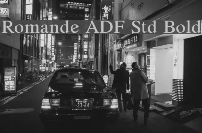 Romande ADF Std Bold Polices examples