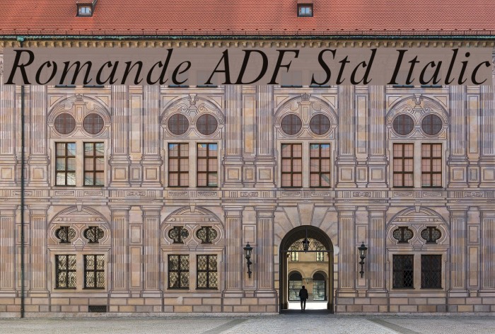 Romande ADF Std Italic Font examples