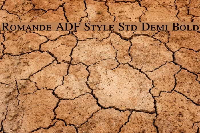 Romande ADF Style Std Demi Bold Fuentes examples