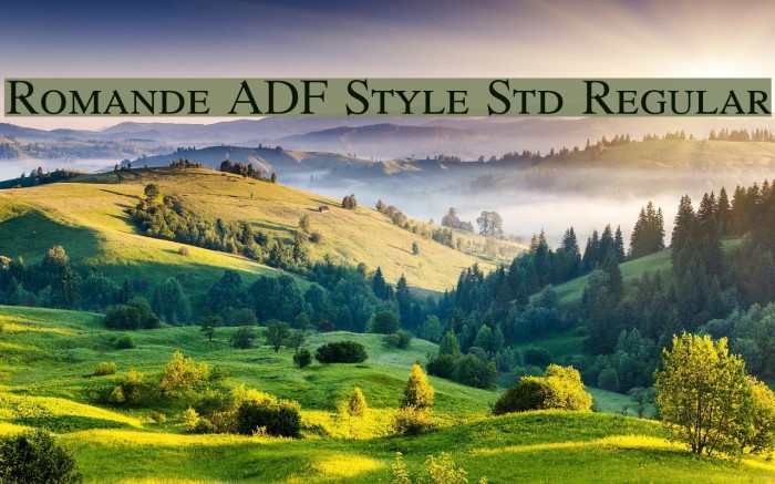 Romande ADF Style Std Regular Font examples