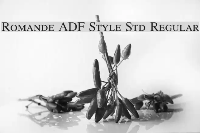 Romande ADF Style Std Regular Font examples
