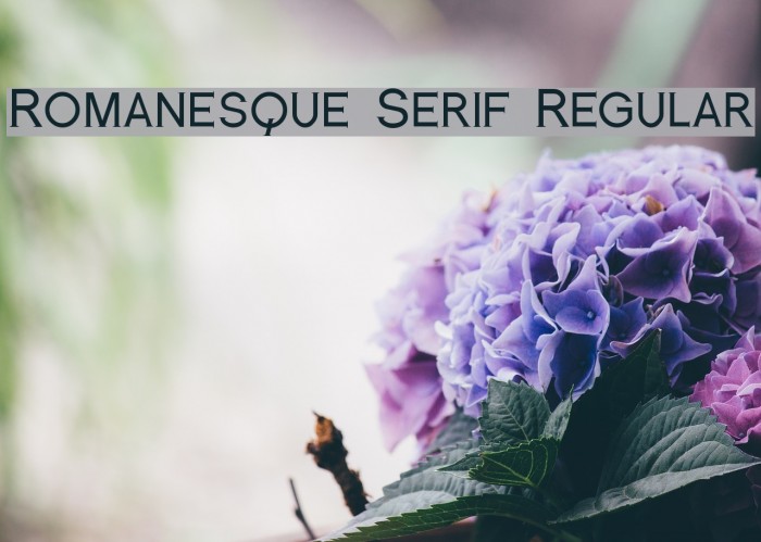 Romanesque Serif Regular Font examples